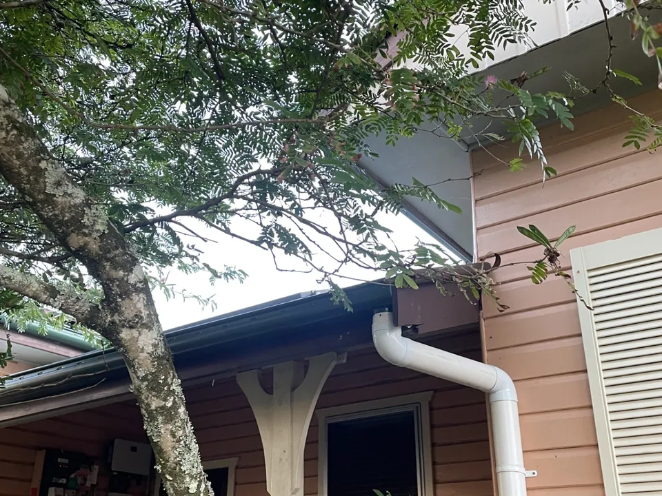 Eaves, gutter and downpipe on a Northern Rivers home